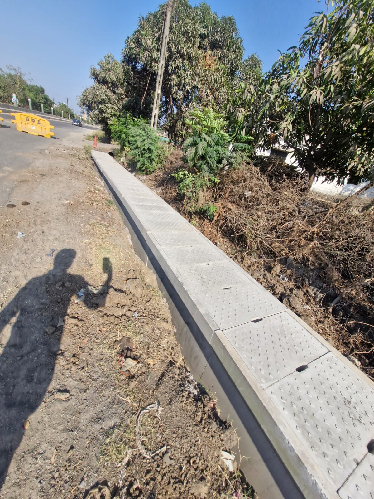 WhatsApp Image 2026-03-24 at 11.12.37 AM